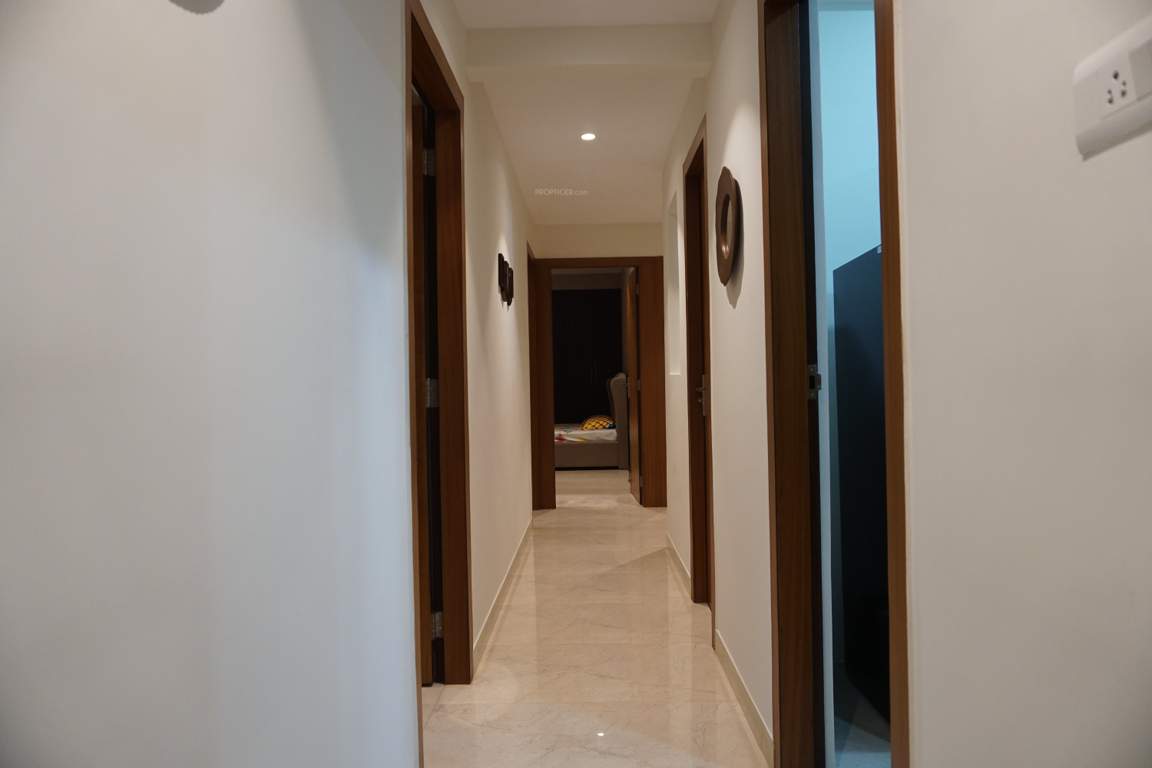 Images for Main Other of Orbit Ashwa