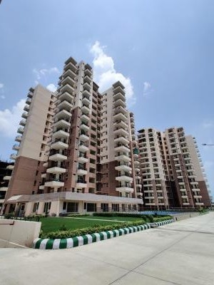 Elevation stonecrop-ii Elevation