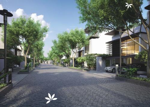  ocarina Images for Elevation of Legend Ocarina