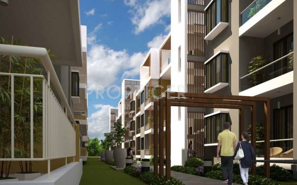 Images for Elevation of Brightwave King George Avenue