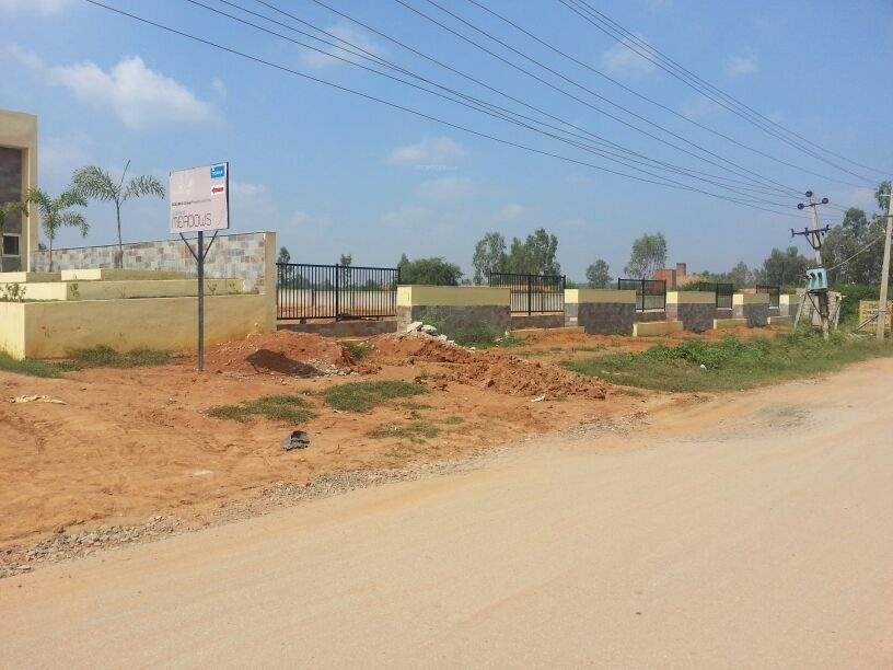 Images for Main Other of Oceanus Meadows