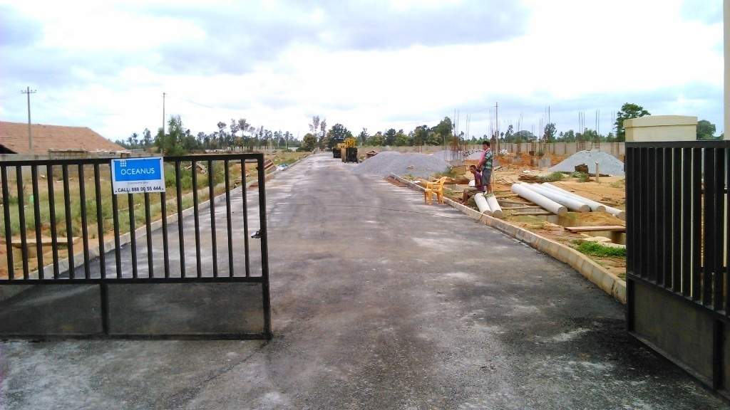 Images for Main Other of Oceanus Meadows