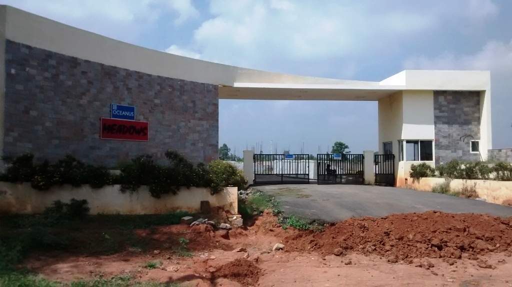 Images for Main Other of Oceanus Meadows