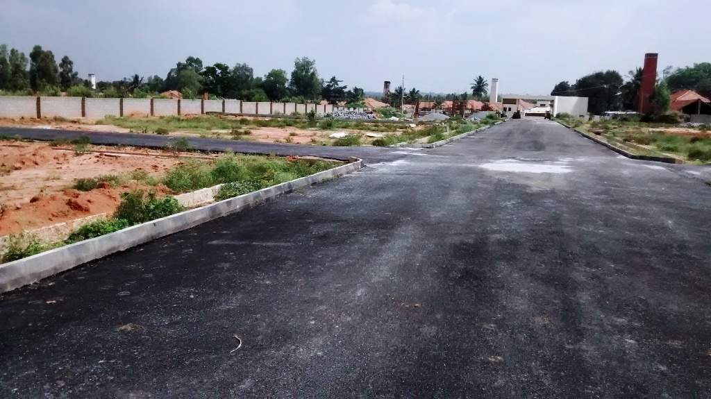 Images for Main Other of Oceanus Meadows