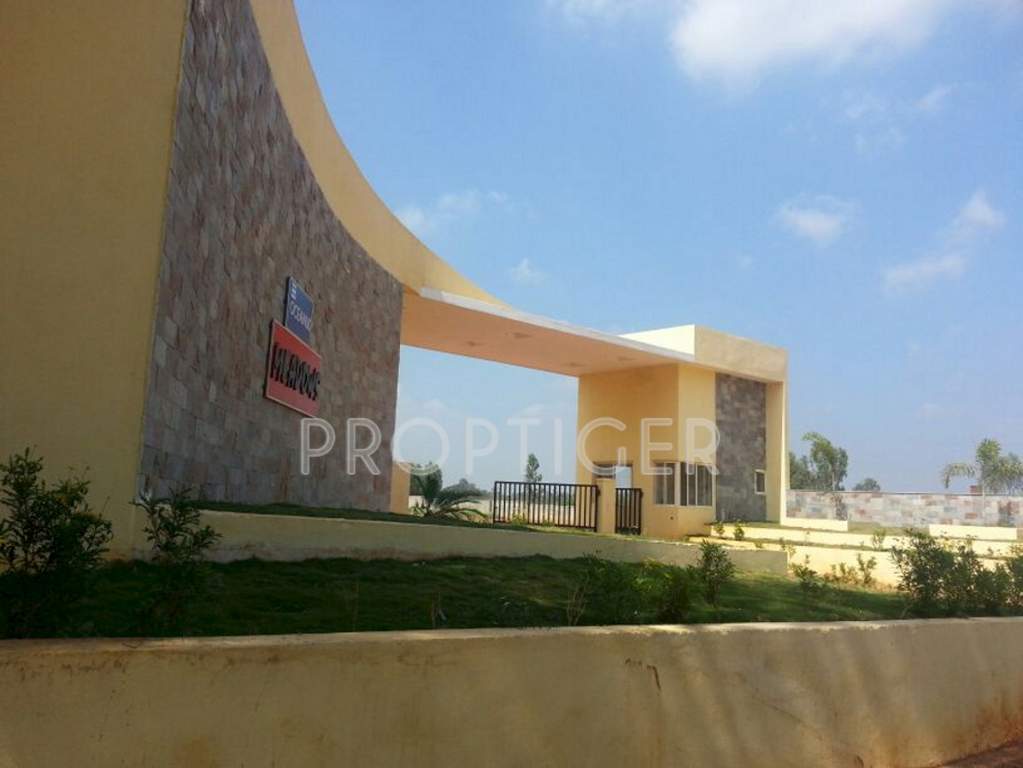 Images for Main Other of Oceanus Meadows