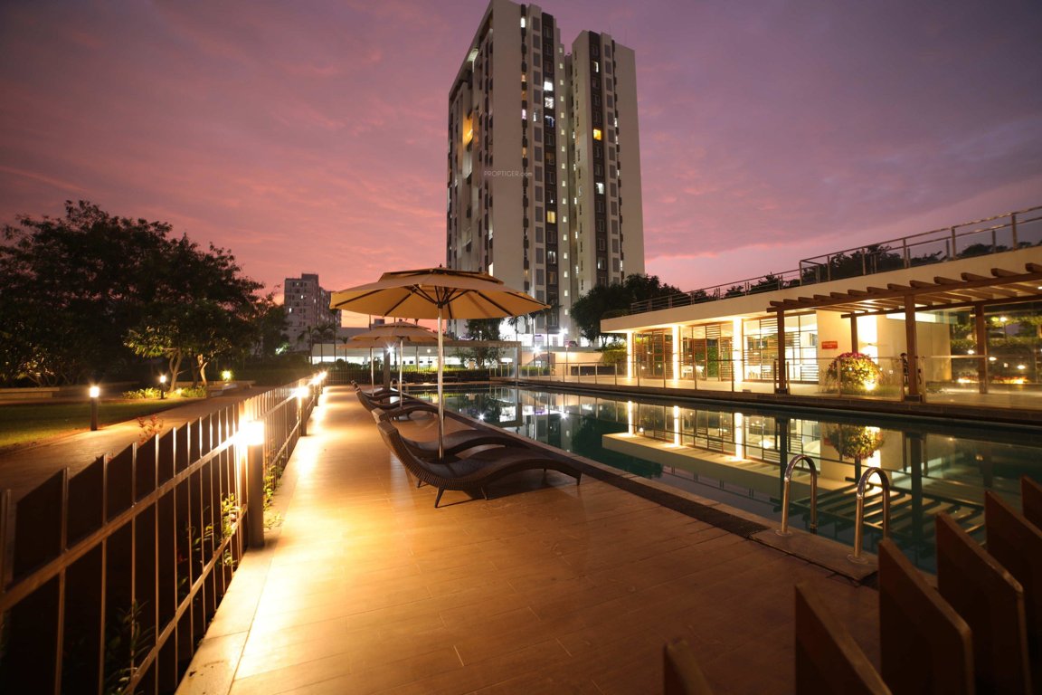  little earth Elevation