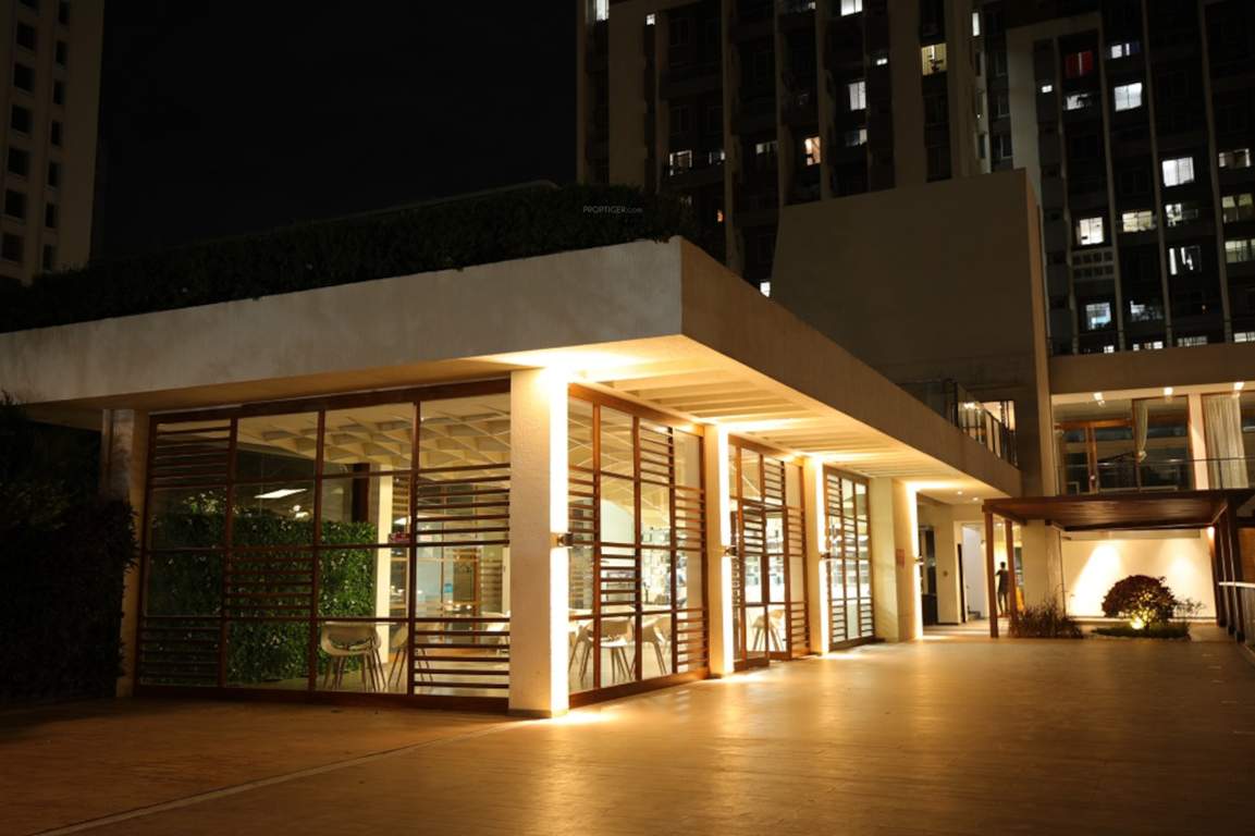  little earth Club House