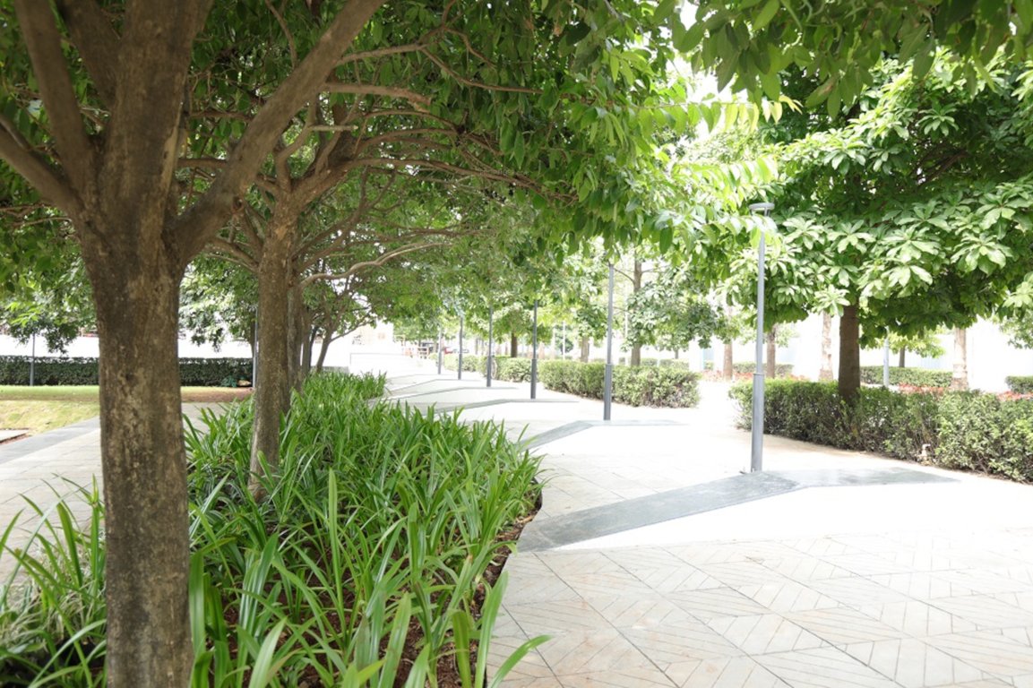  little earth Paved Compound