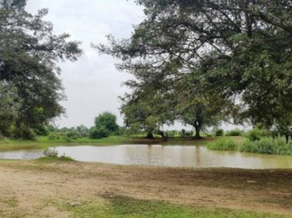 Others good-life Others