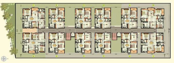 spring leaf Spring Leaf Cluster Plan
