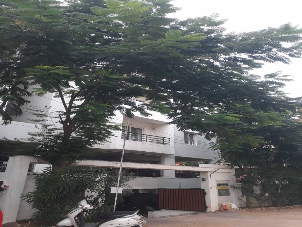 spring leaf Elevation