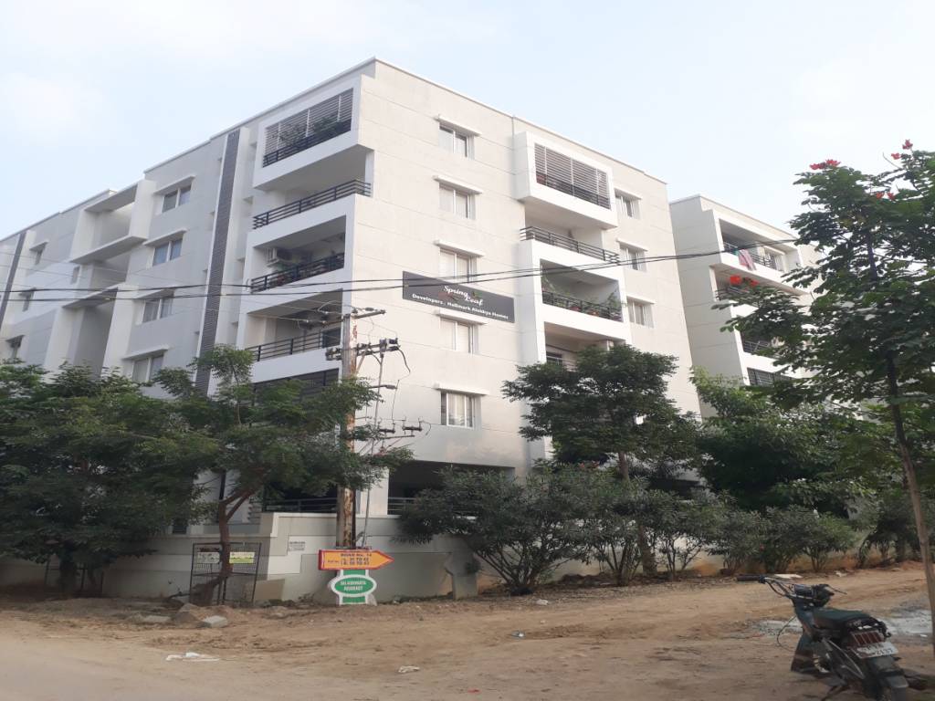 spring leaf Elevation