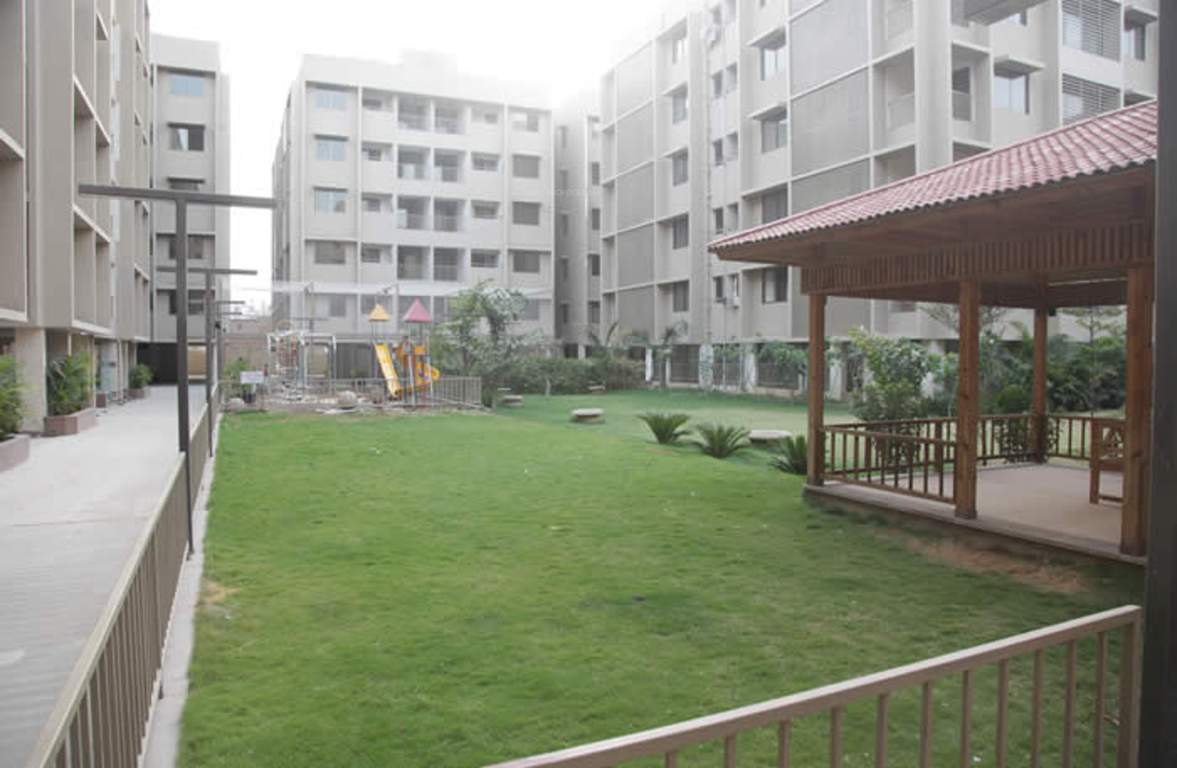 indraprasth 9 hibiscus Images for Elevation of Deep Indraprasth 9 Hibiscus