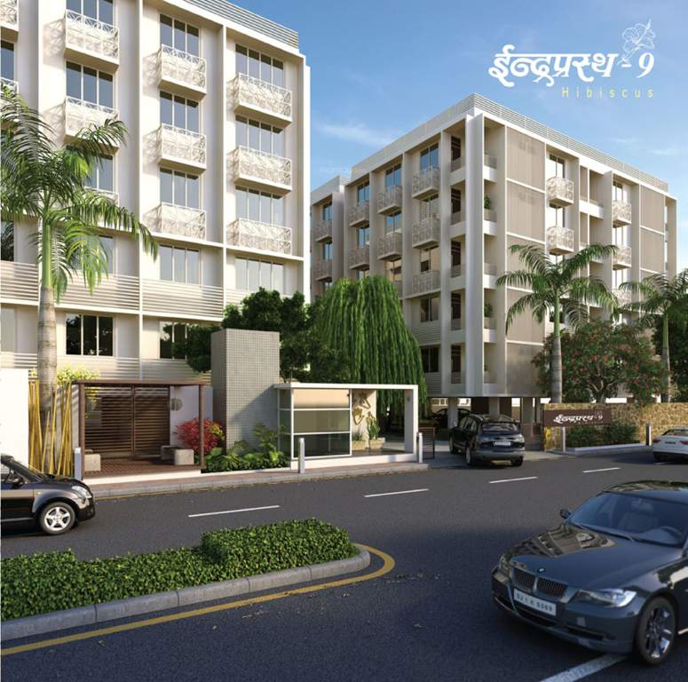 indraprasth 9 hibiscus Images for Elevation of Deep Indraprasth 9 Hibiscus