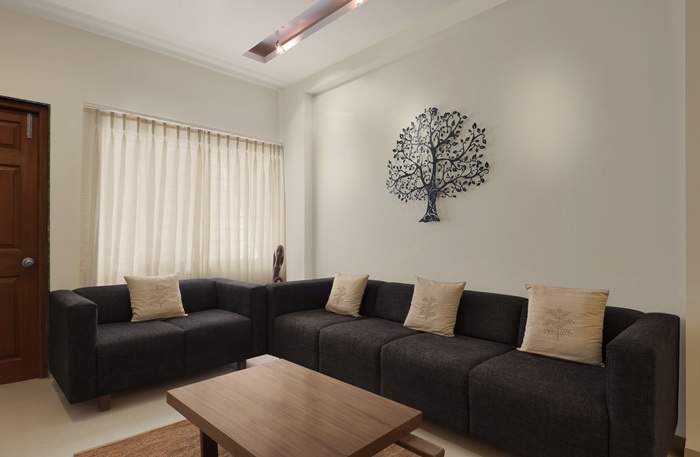 indraprasth 9 hibiscus Images for Main Other of Deep Indraprasth 9 Hibiscus