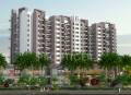 Rainbow Realty Grace