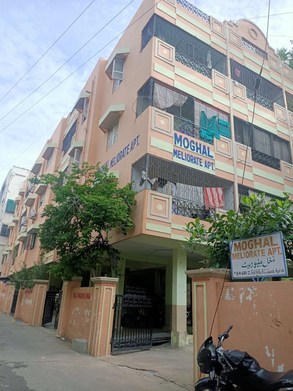  moghal milliorate Elevation