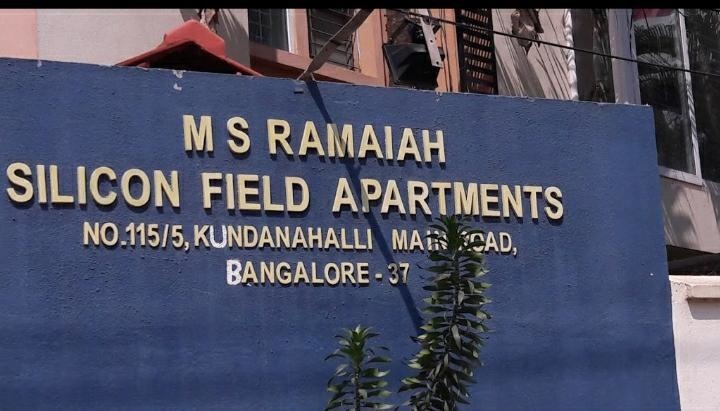  silicon fields Others