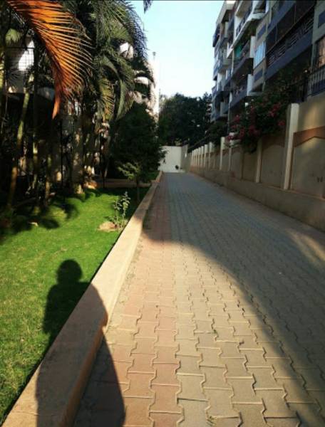  silicon-fields Others