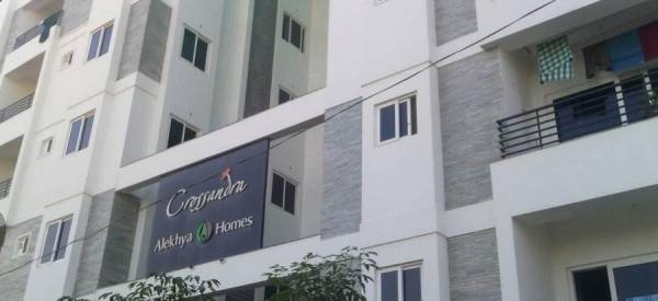 Elevation crossandra Elevation