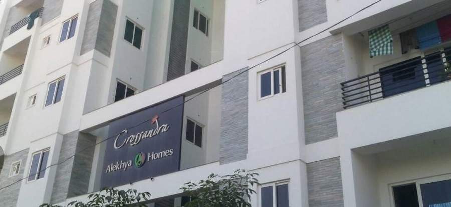  crossandra Elevation