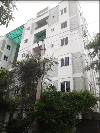 Elevation crossandra Elevation