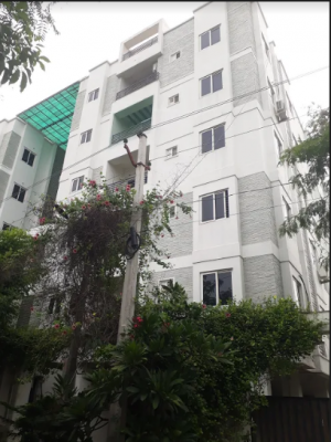 crossandra Elevation Elevation