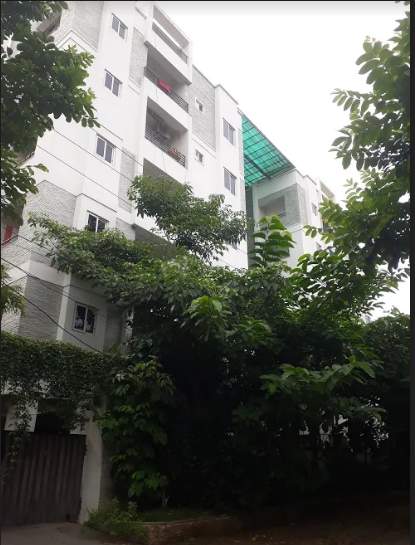  crossandra Elevation