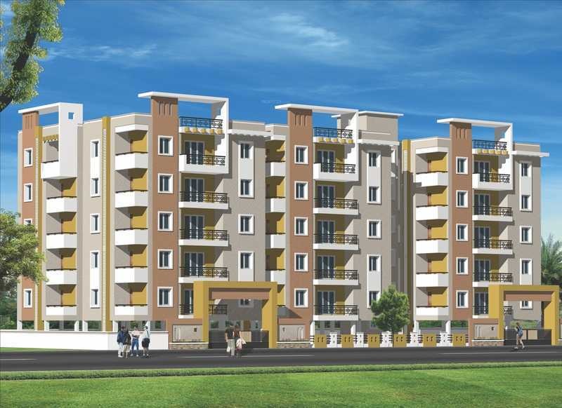 Elevation greens Elevation