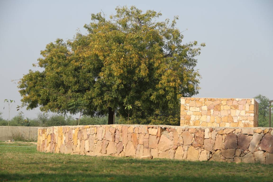 Images for Amenities of Synthesis Suramya Grove