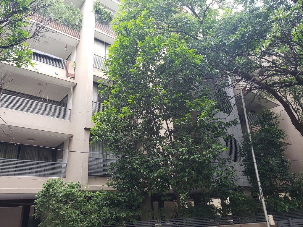  heights ii Elevation