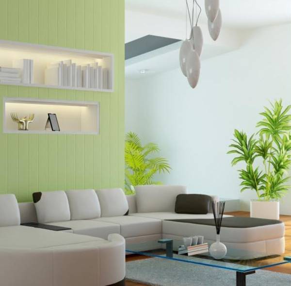 Images for Main Other of Star Daffodil Block Images for Main Other of Star Daffodil Block