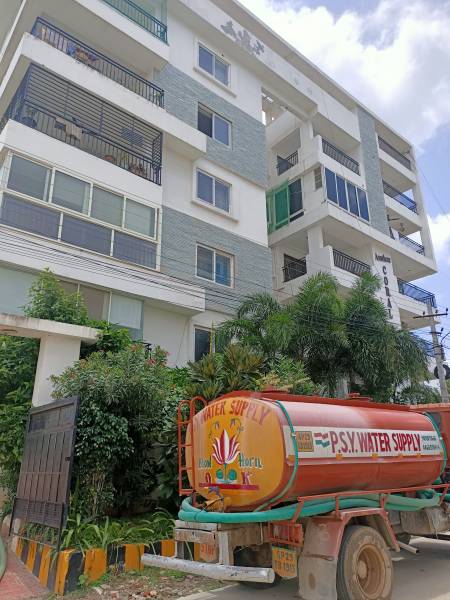  coral-bells Elevation