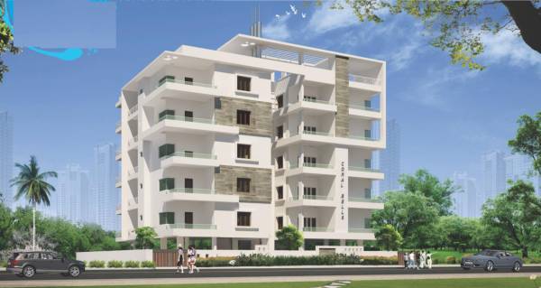  coral-bells Elevation