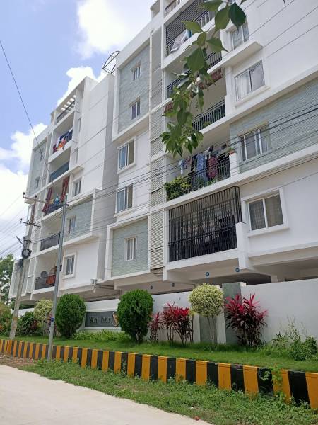  orange-springs Elevation