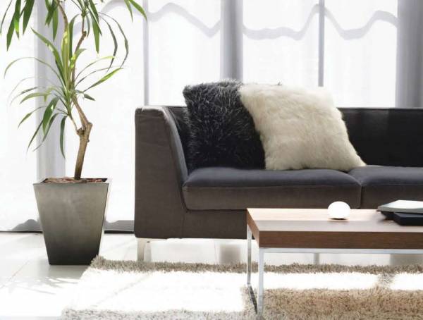 Images for Main Other of Elegance Skyz Earth 12