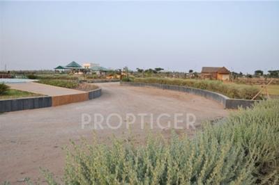 Images for Main Other of India Greenland