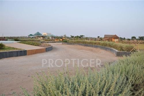 Images for Main Other of India Greenland Images for Main Other of India Greenland