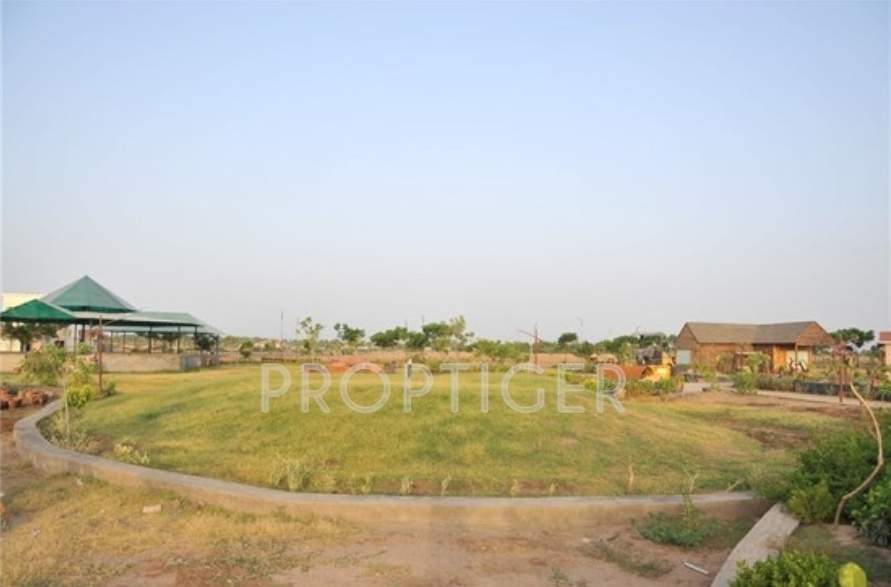 Images for Main Other of India Greenland