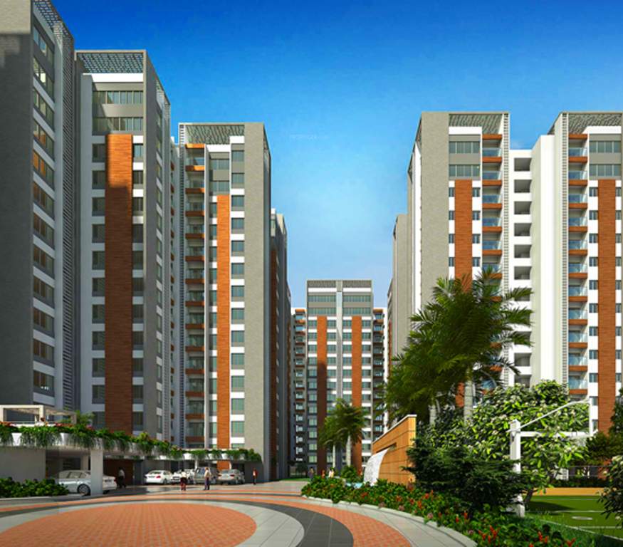  sporcia Images for Elevation of Arvind Sporcia