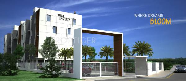  exotica Project Image