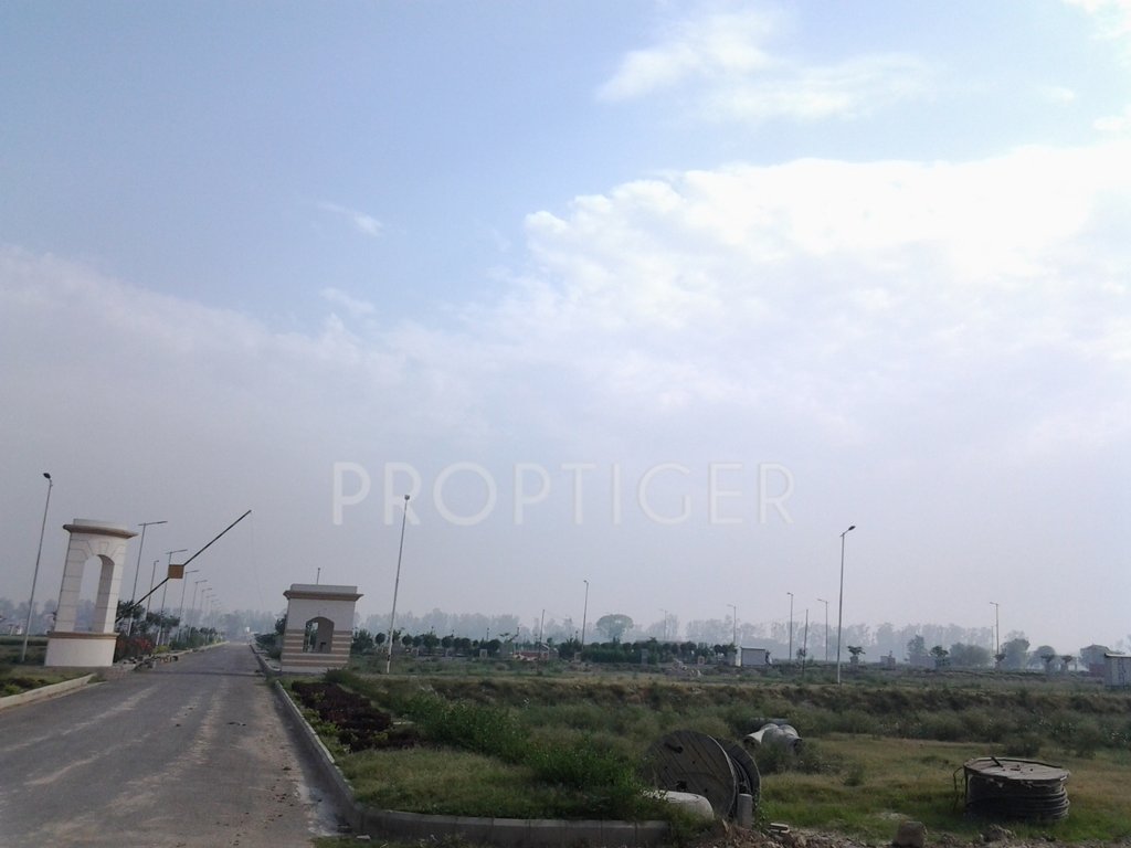 Images for Main Other of Soni Palm City