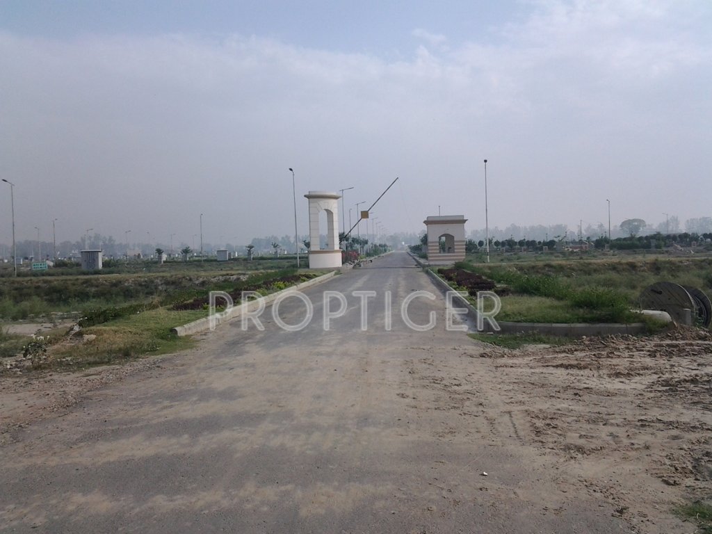 Images for Main Other of Soni Palm City