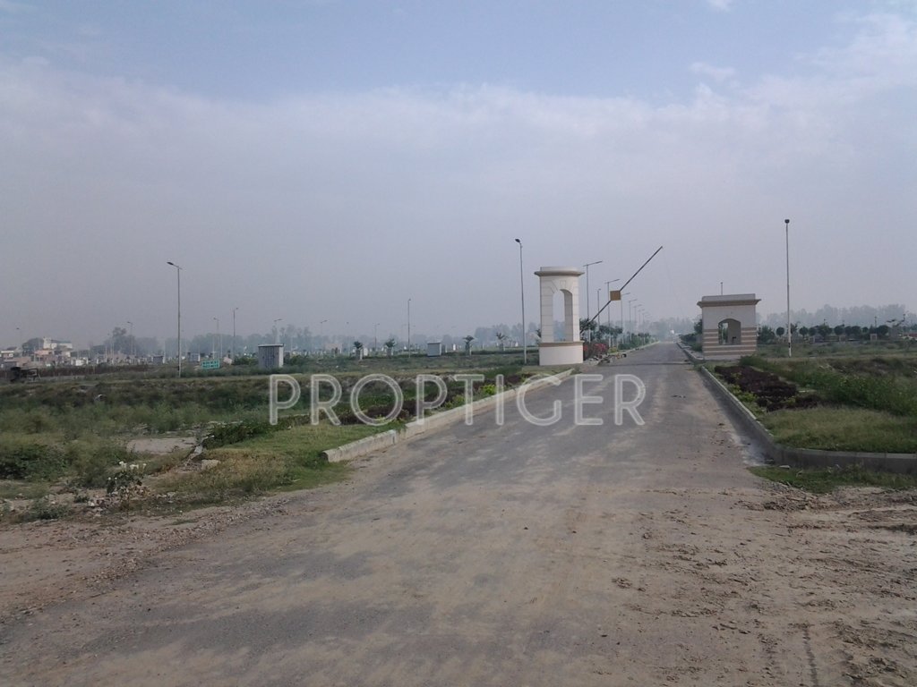 Images for Main Other of Soni Palm City