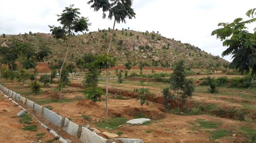  galaxy Images for Main Other of Zain Galaxy