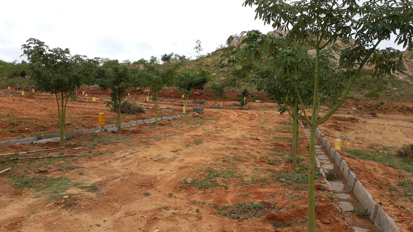  galaxy Images for Main Other of Zain Galaxy