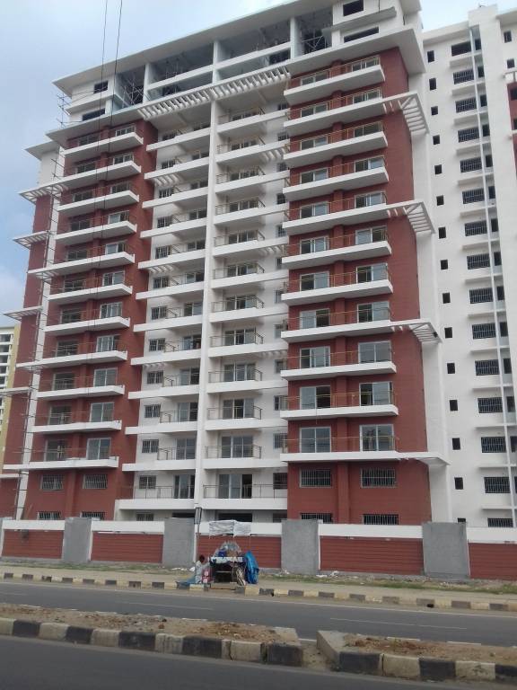  tiara Images for Project