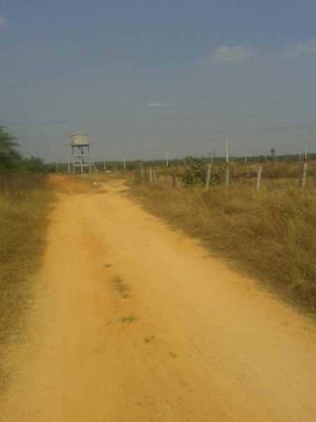  green-horizons Others