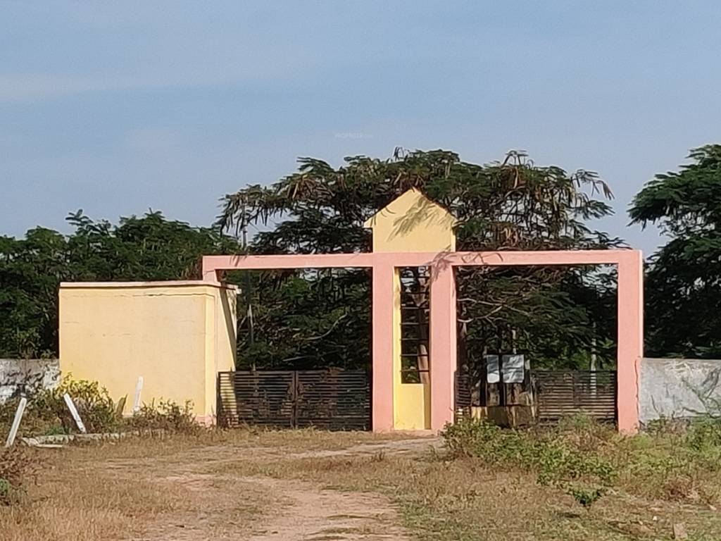  green horizons Others