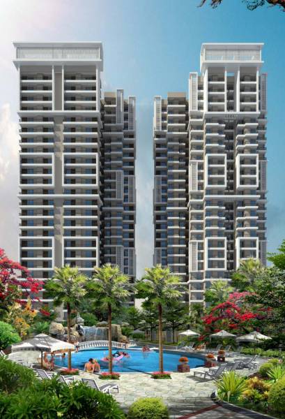 Images for Elevation of Ascent Savy Homz